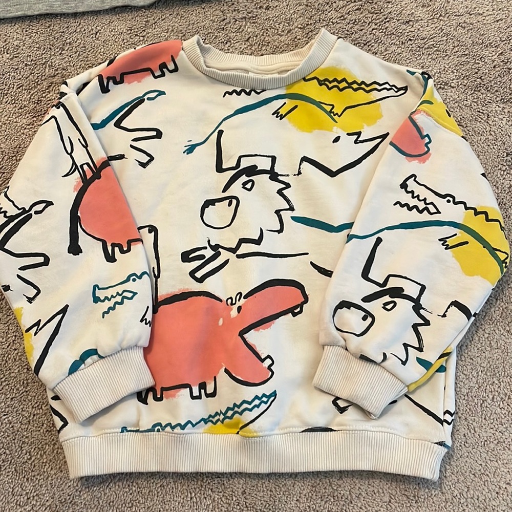 Zara toddler boys sweatshirt